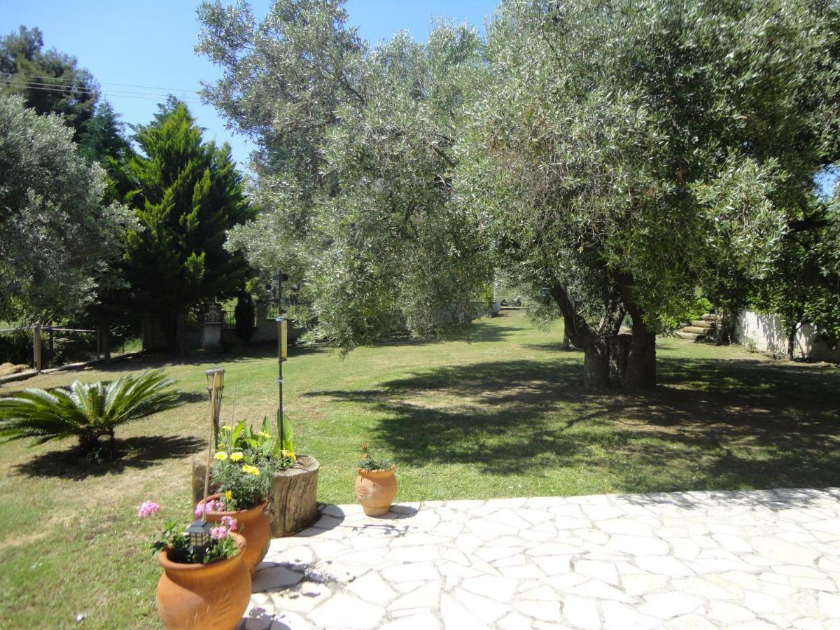 ניאה סקיוני Holiday Villa Vee מראה חיצוני תמונה